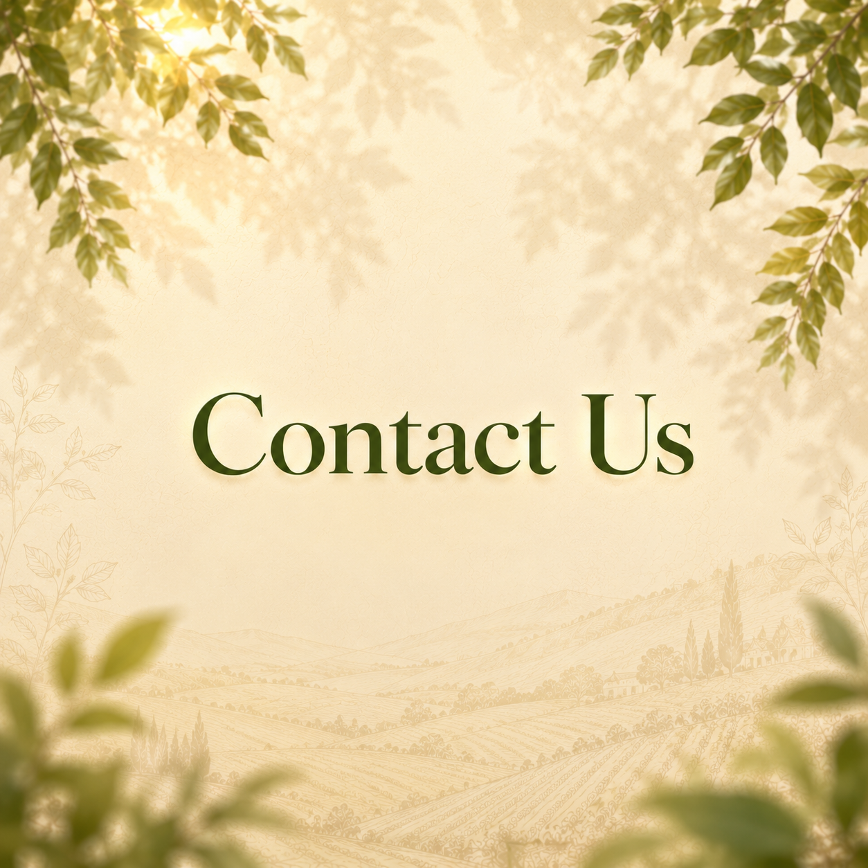 Contact us